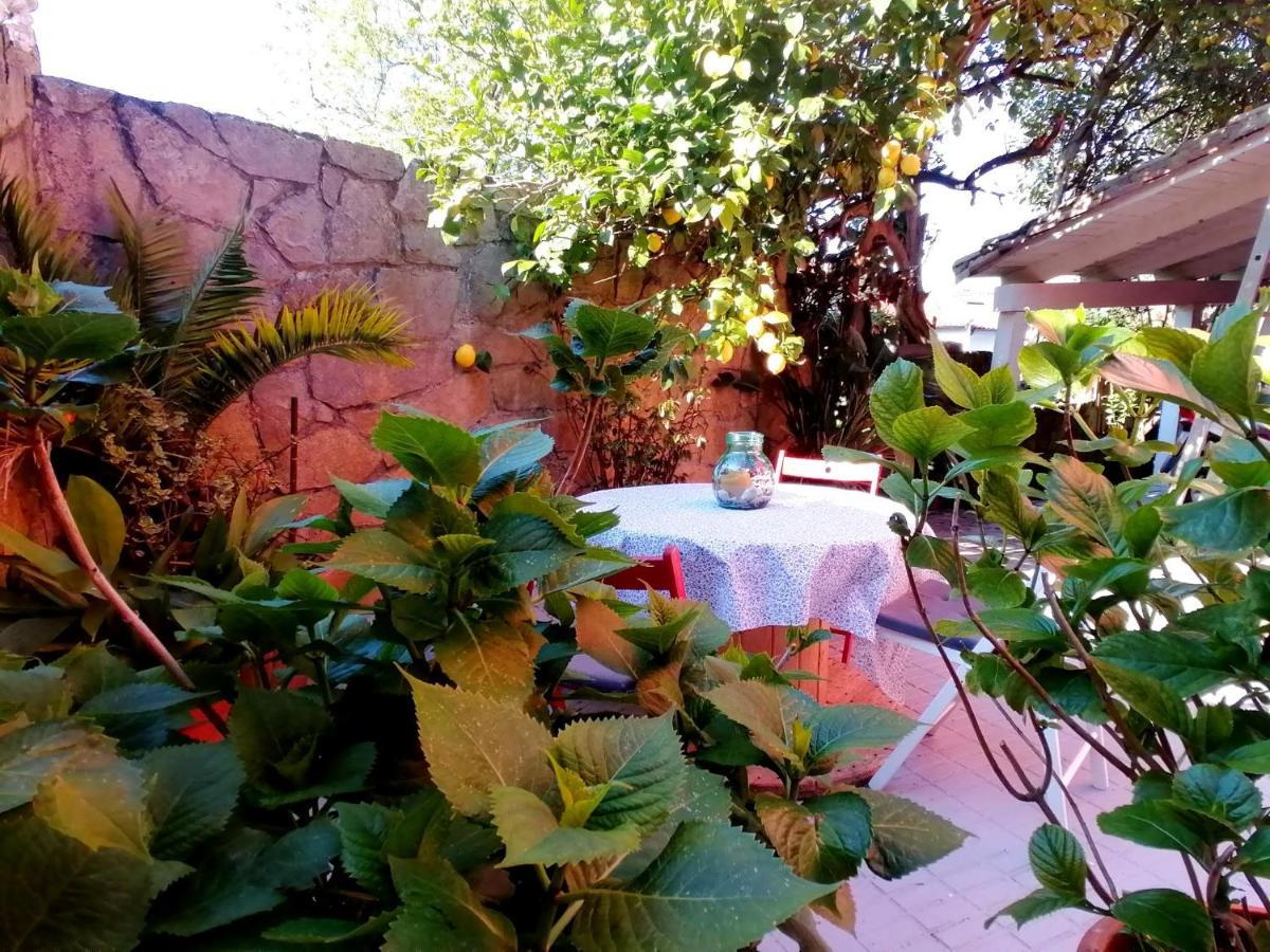 Hotel Las Palmeras Celorio  Ngoại thất bức ảnh